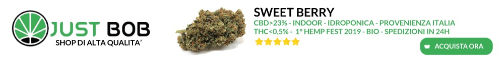 JustBob, Sweet Berry Cannabis, Acquista Ora